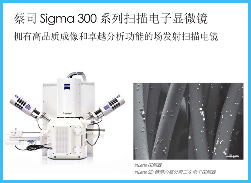 蔡司Sigma 300 场发射扫描电镜